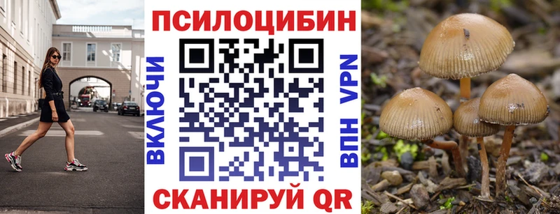 Псилоцибиновые грибы мицелий kraken зеркало Ноябрьск купить закладку